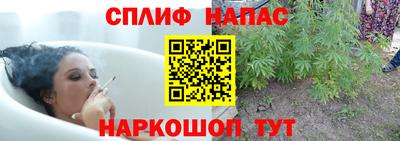 ГАЛЛЮЦИНОГЕННЫЕ ГРИБЫ Краснокаменск
